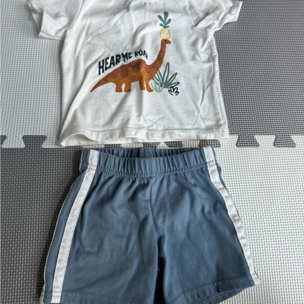 Like New Garanimals 3 piece set - Size 12 Months